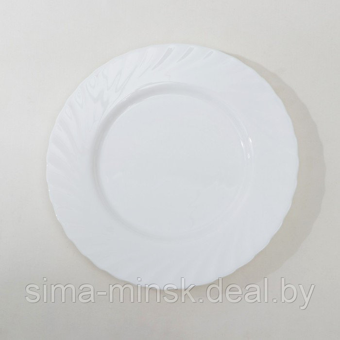Набор обеденных тарелок Luminarc TRIANON, d=25 см, стеклокерамика, 6 шт, цвет белый - фото 3 - id-p210194477
