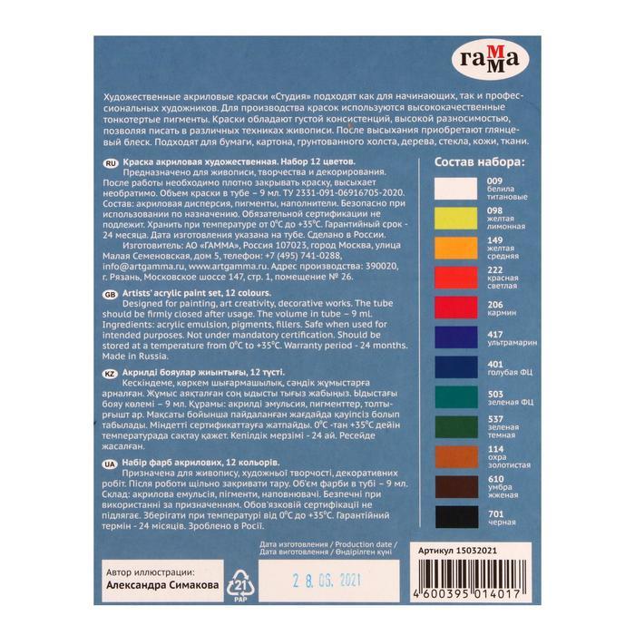 Краска акриловая в тубе, набор 12 цветов х 9 мл, Гамма "Студия", морозостойкая, 15032021 - фото 3 - id-p210196654