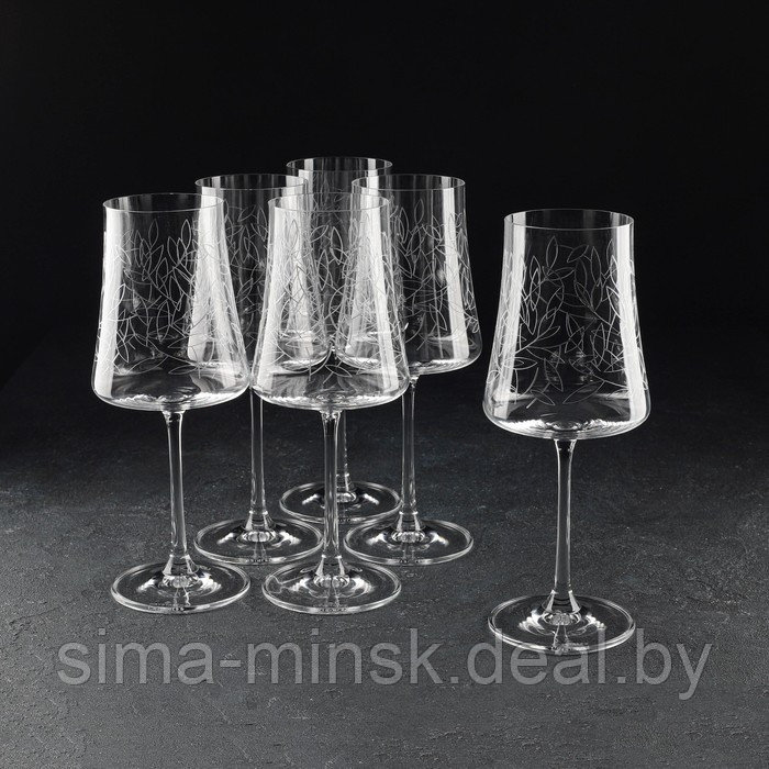 Набор бокалов для вина «Экстра», 460 мл, декор листья, 6 шт - фото 1 - id-p210193774