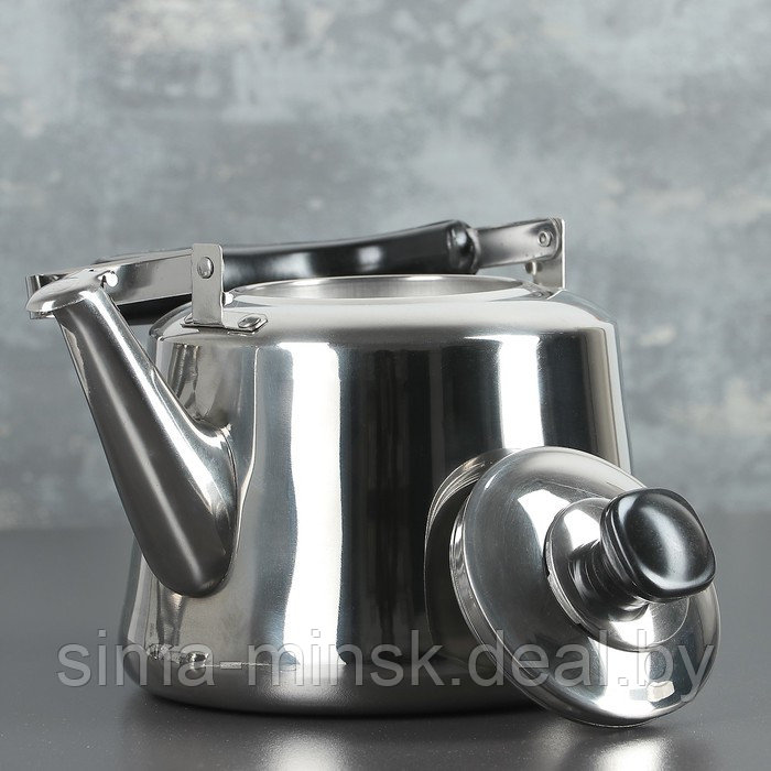 Чайник из нержавеющей стали «Чайковский», 3 л, цвет хромированный - фото 5 - id-p210193089