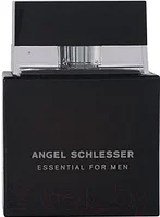 Туалетная вода Angel Schlesser Essential Men