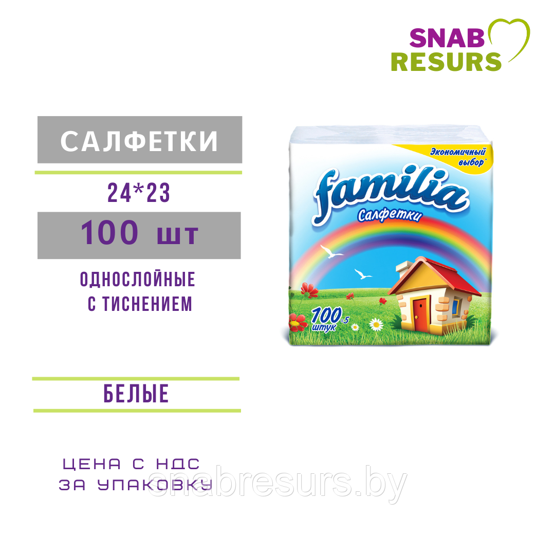 Салфетки бумажные FAMILIA, 100шт