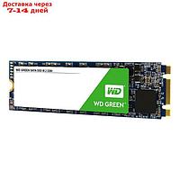 Накопитель SSD WD Original M.2 2280 WDS480G2G0B, 480Гб, SATA III, зеленый