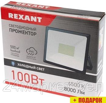 Уличный прожектор Rexant 605-005, фото 2