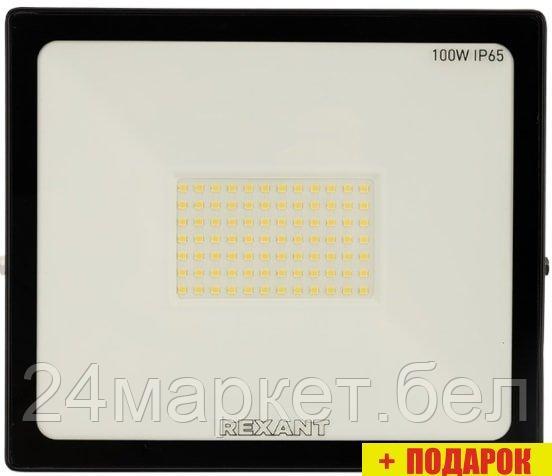 Уличный прожектор Rexant 605-005 - фото 3 - id-p210227414