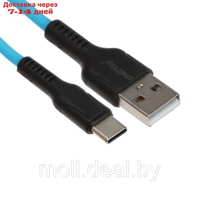 Кабель Smartbuy S21, Type-C - USB, 3 А, 1 м, зарядка + передача данных, синий - фото 1 - id-p210202155