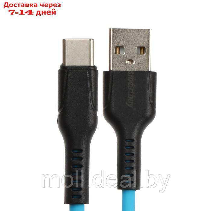 Кабель Smartbuy S21, Type-C - USB, 3 А, 1 м, зарядка + передача данных, синий - фото 2 - id-p210202155