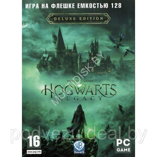 Hogvarts Legasy (DVD BOX + флешка 128 ГБ) PC - фото 1 - id-p210278145