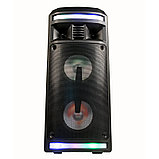 Акустическая портативная колонка Dialog Oscar AO-12 - 30W RMS,Караоке с микрофоном, BT+FM+USB+SD+LED, фото 3