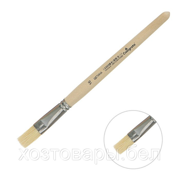 Кисть Щетина плоская №16 (d-16 мм  L-21 мм) ручка дерево Calligrata