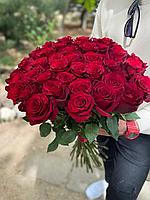 Срезанная роза "Эксплорер" 50 см.
