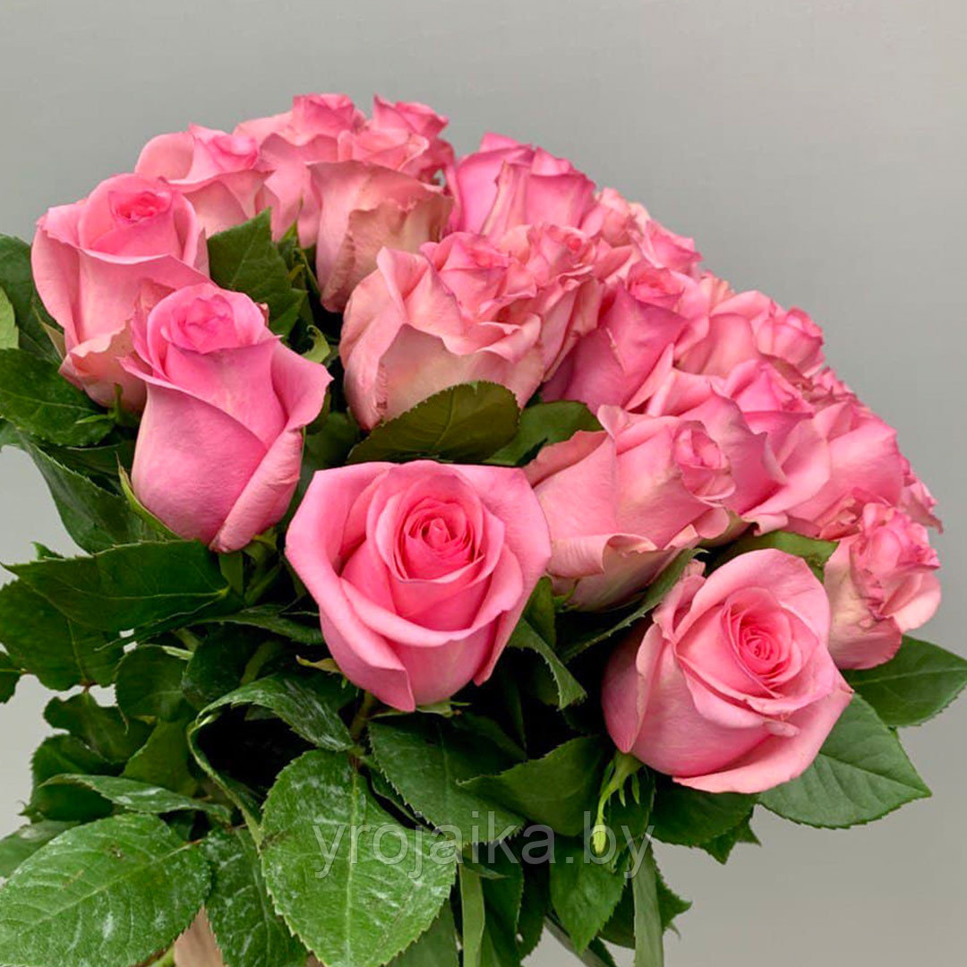 Срезанная роза " Опала" 50 см. - фото 1 - id-p210338265