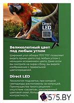 Телевизор MAUNFELD MLT55USX02, фото 2