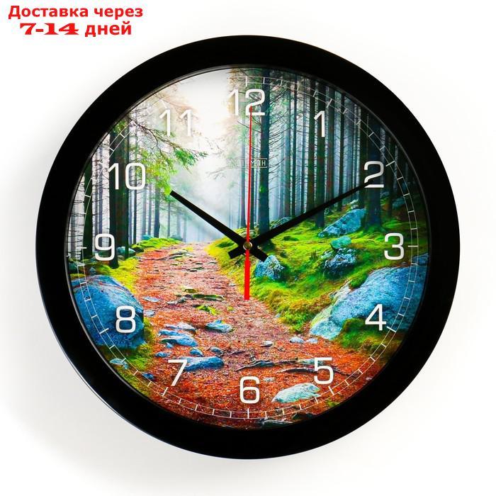 Часы настенные, серия: Природа, "Лесная тропа", плавный ход, d=28 см - фото 1 - id-p210326975