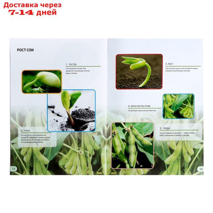 Набор для опытов "Наука о растениях" - фото 3 - id-p210324974