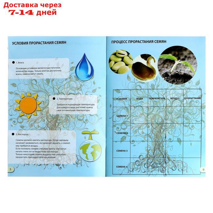 Набор для опытов "Наука о растениях" - фото 4 - id-p210324974