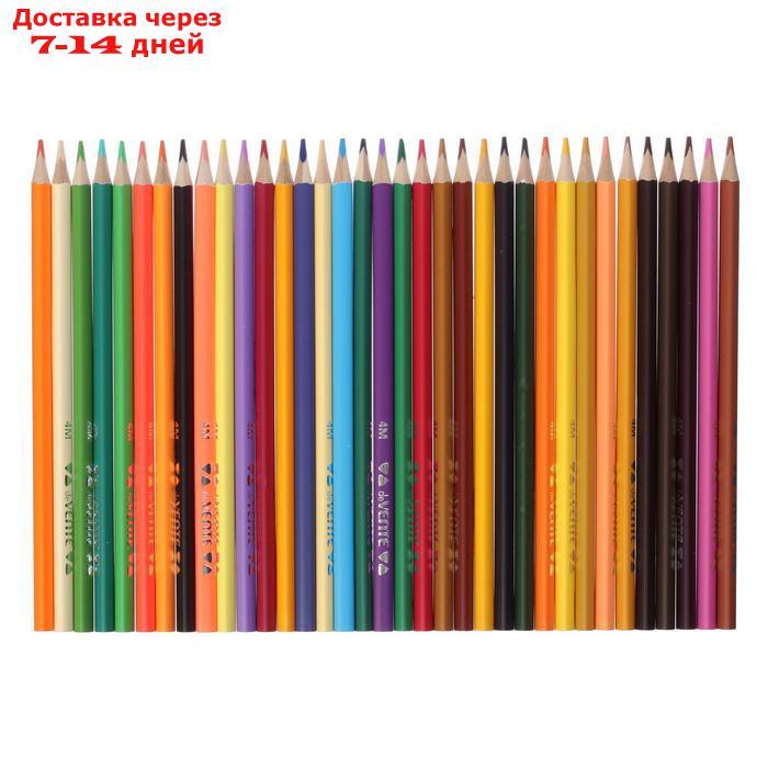 Карандаши 72 цветов, deVENTE Trio Mega Soft , трехгранный корпус, супер мягкие, 4M, грифель d-3мм - фото 4 - id-p210325534