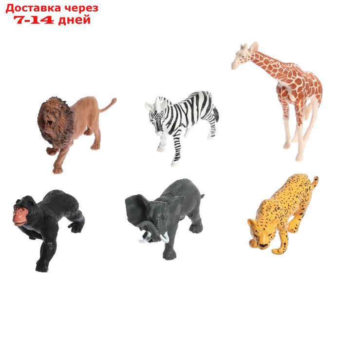 Набор животных "Звери Африки", 6 фигурок - фото 1 - id-p210326653