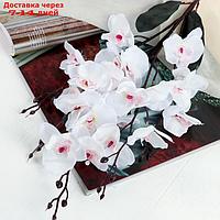 Цветы искусственные "Орхидея фаленопсис" 8*80 см, белый