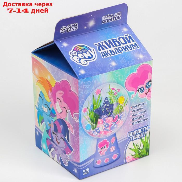 Набор для опытов "Живой аквариум" My little pony - фото 3 - id-p210327686