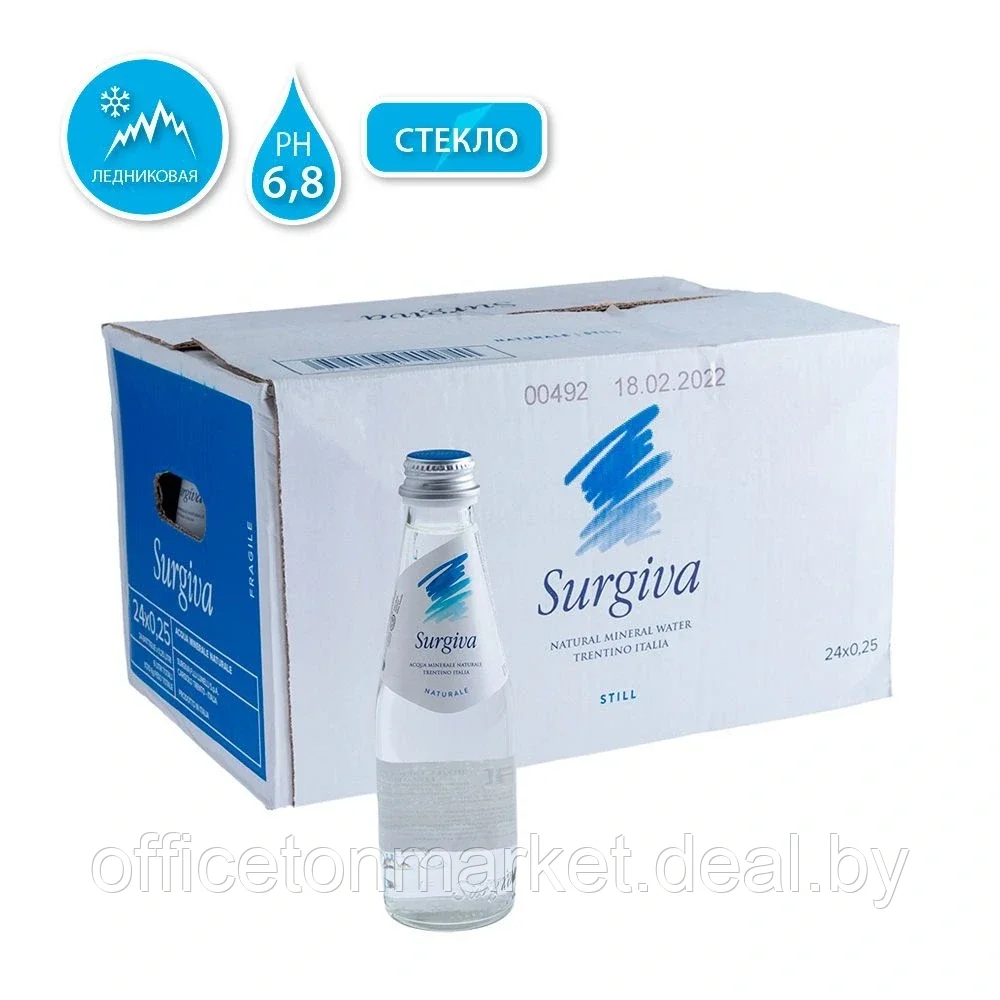 Вода минеральная природная питьевая «Surgiva», 0.25 л., негазированная, 24 бут/упак - фото 1 - id-p200123788