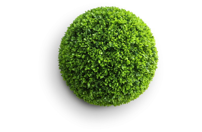 Искусственное растение Самшит Классический зеленый 30 - фото 1 - id-p210502779