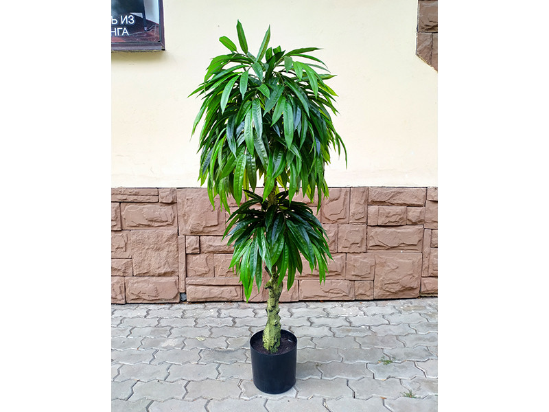 Искусственное растение Slim Mango 137 - фото 1 - id-p210505289