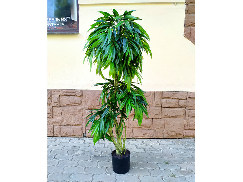 Искусственное растение Slim Mango 150 - фото 1 - id-p210505290