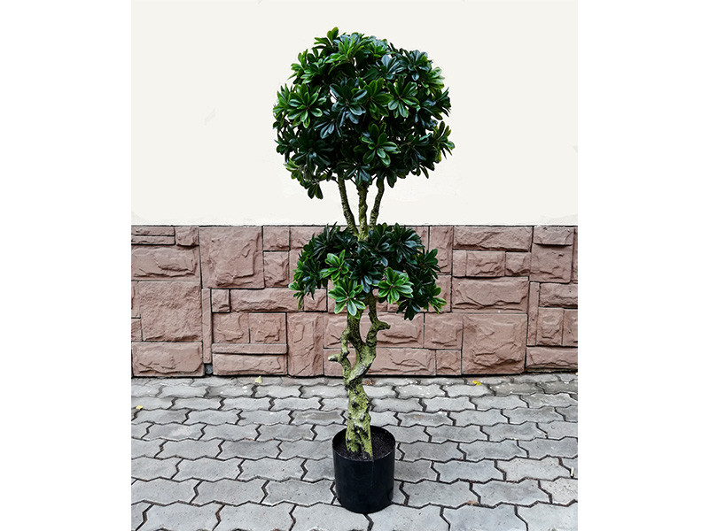 Искусственное растение Pittisporum Double 137 - фото 1 - id-p210363560