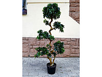 Искусственное растение Pittisporum Bonsai 150