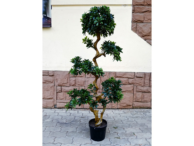 Искусственное растение Pittisporum Bonsai 150 - фото 1 - id-p210505299