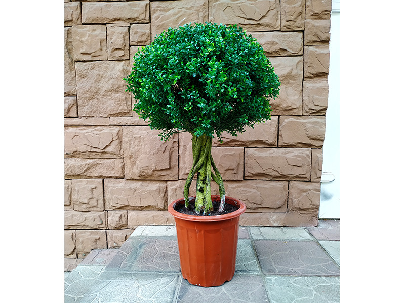 Искусственное растение Boxwood Topiary 90 - фото 1 - id-p210505303