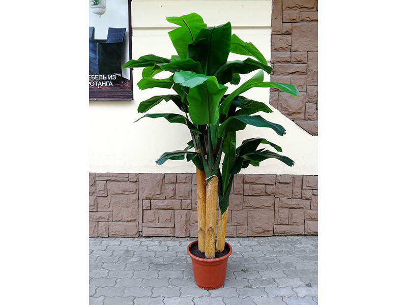 Искусственное растение Banana 210 - фото 1 - id-p210505306