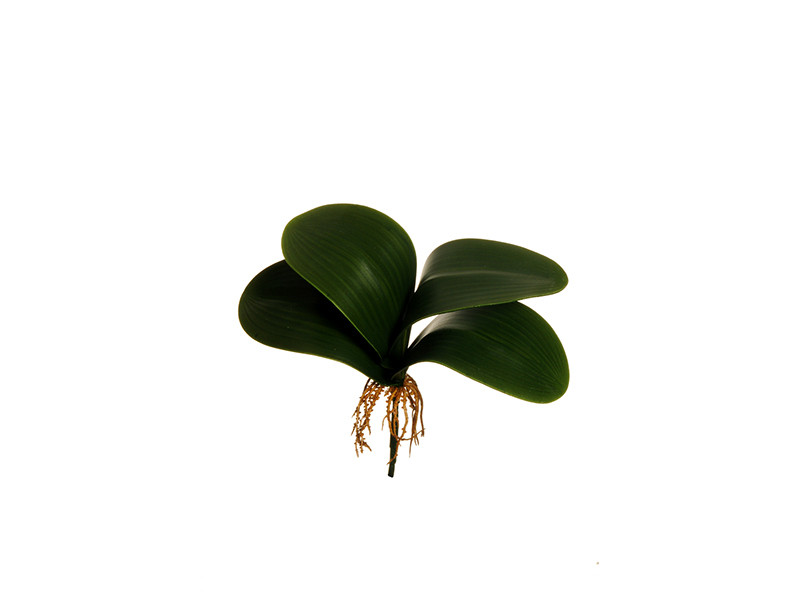 Искусственные листья Орхидеи - фото 1 - id-p210505355