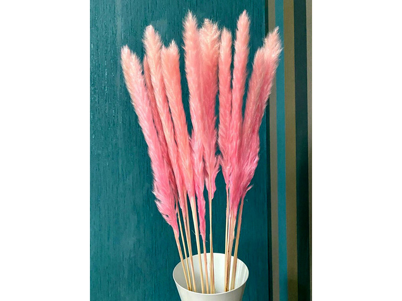 Ветка декоративная сухоцвет нежно-розовый FG-0433-3 - фото 1 - id-p210505582