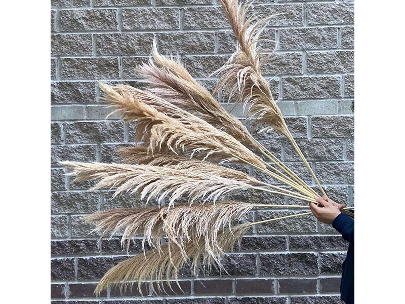 Ветка декоративная трава пампасная пшеничная FG-7-001 - фото 1 - id-p210505610