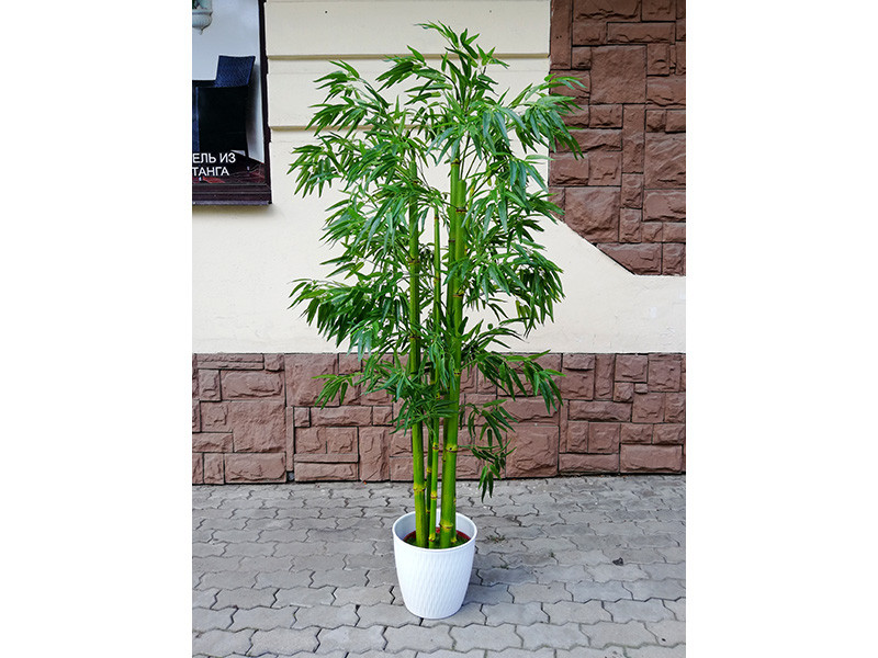 Искусственное растение Бамбук кустарниковый 180 - фото 1 - id-p210503209