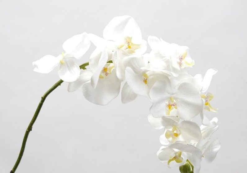 Искусственный цветок Орхидея 110см. FG-GT-A53 белая - фото 1 - id-p210505810