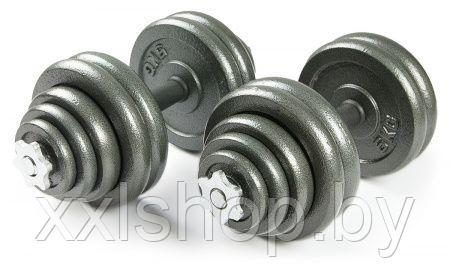 Набор металлических гантелей Atlas Sport 33 кг (2*16,5 кг) - фото 1 - id-p210755485