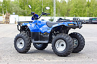 Квадроцикл IRBIS ATV200 LUX Синий