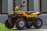 Квадроцикл IRBIS ATV200 PREMIUM