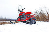Снегоход IRBIS DINGO T200, фото 3