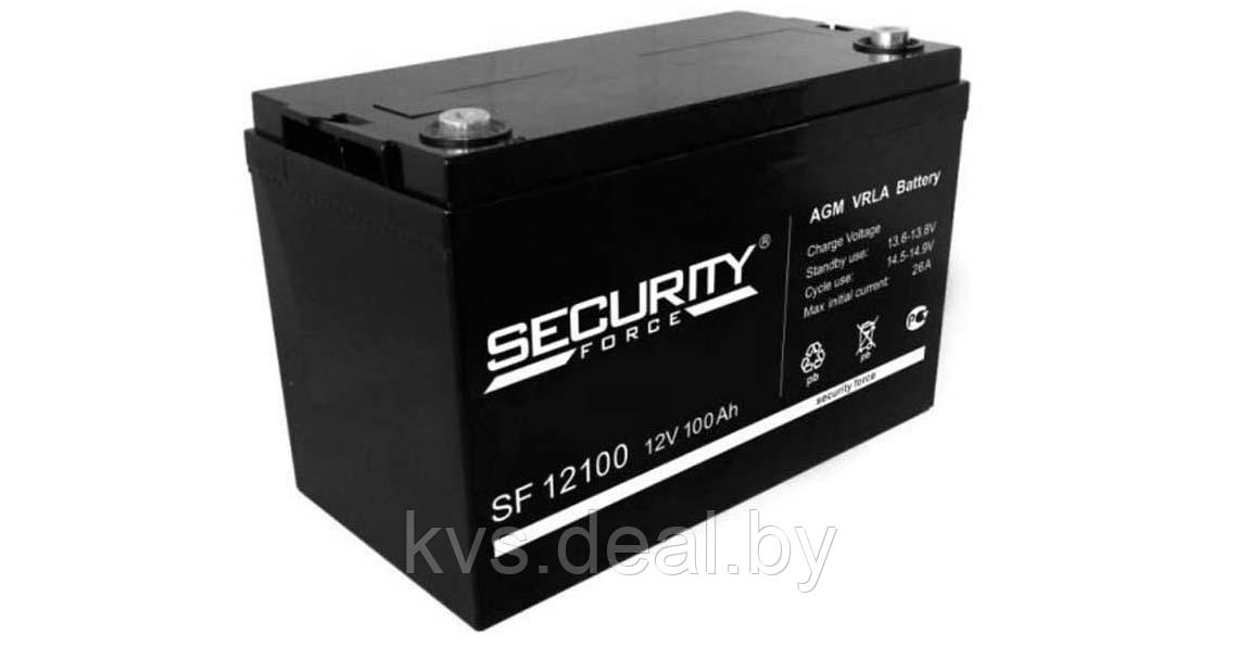 Аккумуляторная батарея SF 12100 Security Force AGM 100Ач 3-5лет - фото 1 - id-p210833105