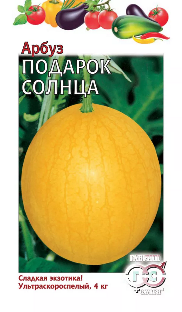 Арбуз Подарок Солнца 5шт Гавриш, фото 1
