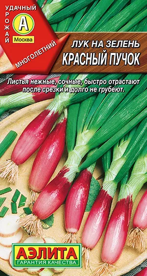 Лук на зелень Красный пучок 0,3г Аэлита