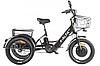 Трицикл GREEN CITY e-ALFA Trike, фото 3