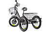 Трицикл GREEN CITY e-ALFA Trike, фото 2