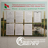 Информационные стенды, фото 8