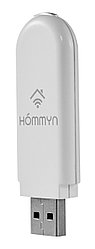 Модуль съемный управляющий Hommyn HDN/WFN-02-01