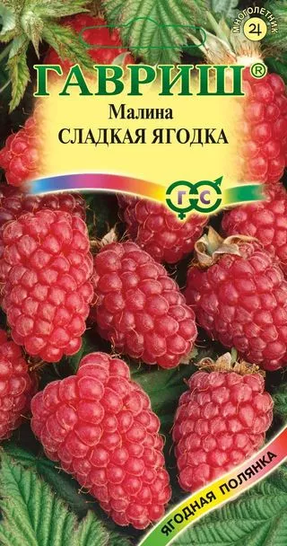 Малина Сладкая ягодка 10шт Гавриш